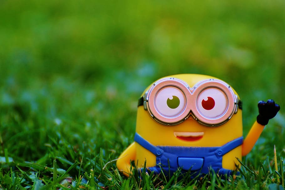 selective, focus photography, minion, grass, Figure, Minions, Wave, Toys, funny, children