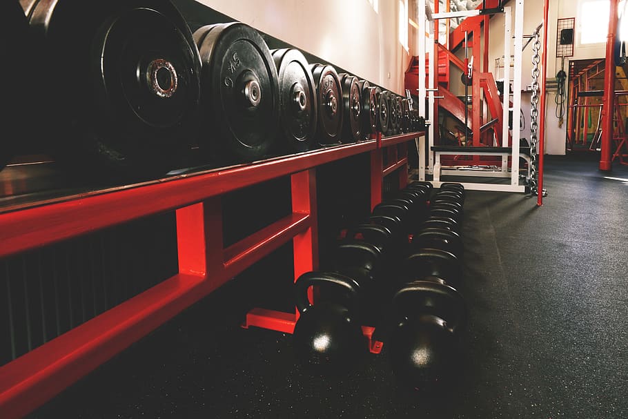 sports exercise gym, workout, weights, Sports, exercise, gym, various, fit, fitness, health