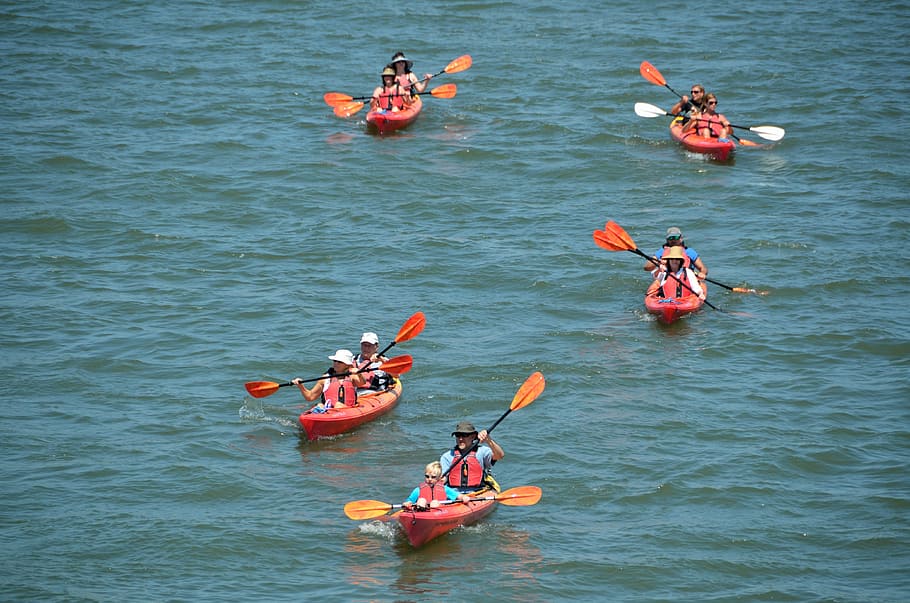 Kayaks, personas, ocio, agua, deporte, actividad, verano, kayak, aventura, piragüismo