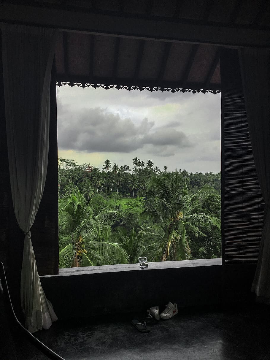 bali, view, indonesia, duschungel, palm trees, temple, sky, outlook, travel, clouds