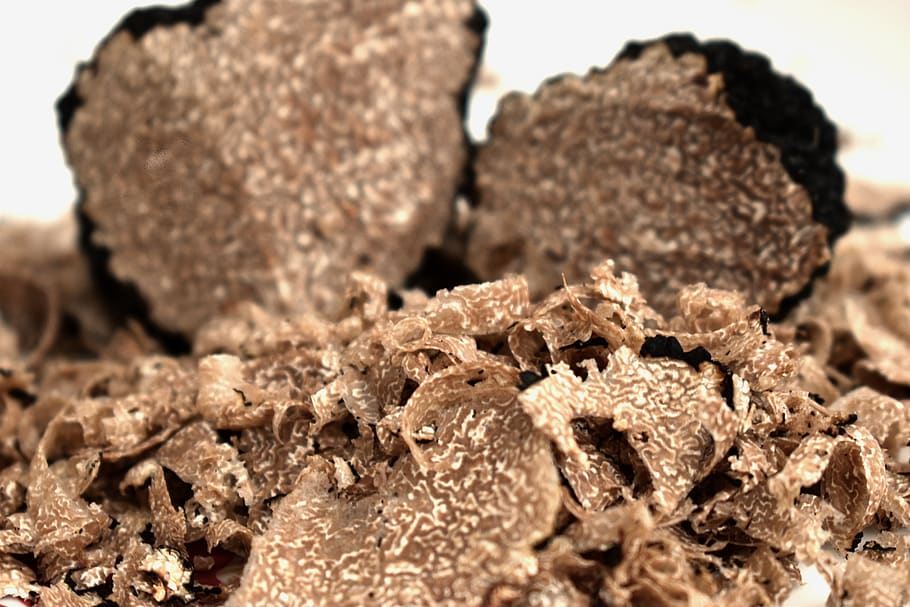 fresh truffles, grated, shavings, cut, preparation, fungus, cup, prepare, burgundy truffle, close-up