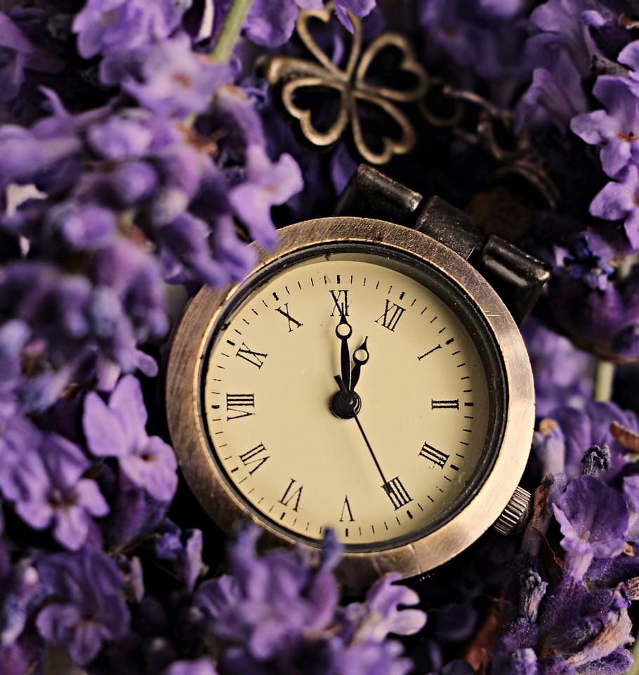 fotografia de close-up, redondo analógico dourado, relógio, exibindo, 11:55, lavanda, trevo da sorte, a décima primeira hora, 5 a 12, flores