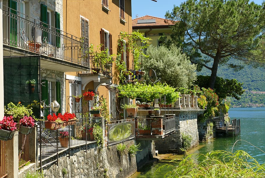 Italia, junto al lago, vacaciones, fachadas de casas, centro histórico, embarcadero, idílico, lago di como, planta, estructura construida