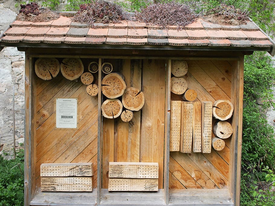 insect hotel, insect, insect house, hibernation help, nature conservation, bee hotel, insect protection measures, wood - material, day, wood