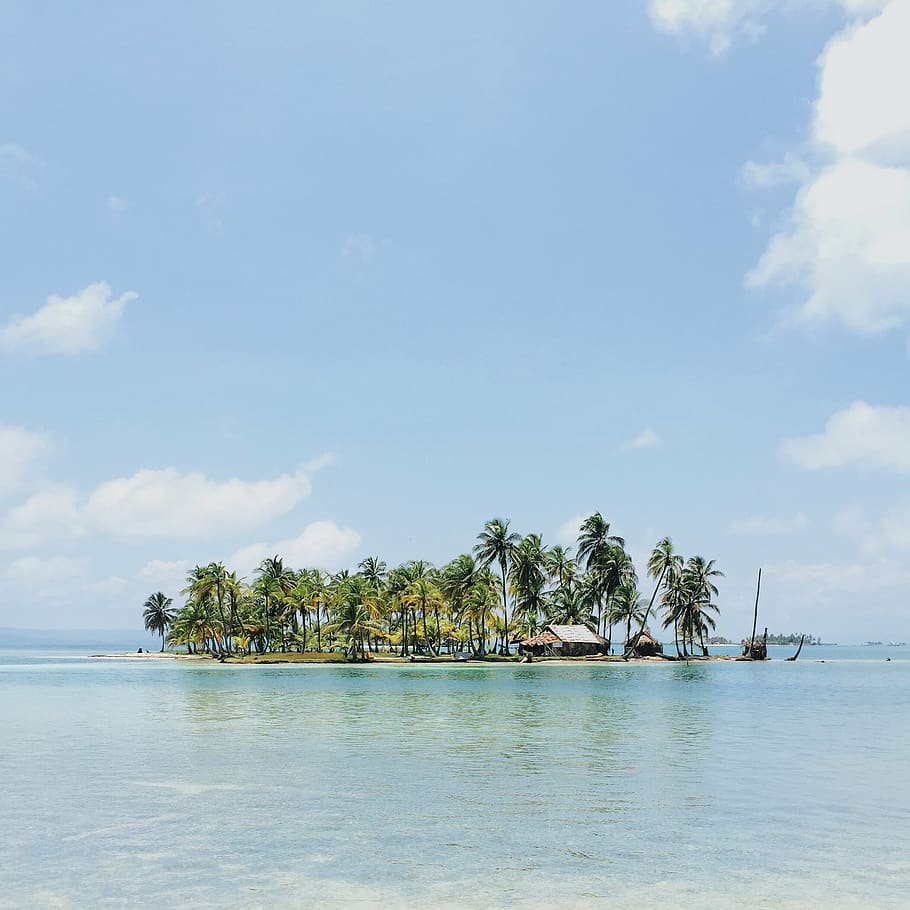 coconut, planted, island, trees, house, middle, ocean, palm trees, tropical, vacation