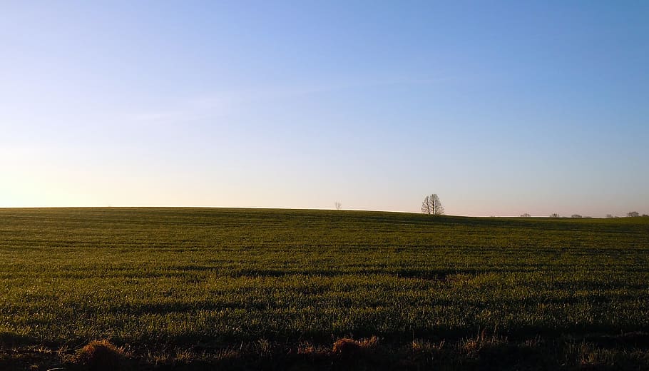 Шире неба. Мирная атмосфера. Mainster wide field.