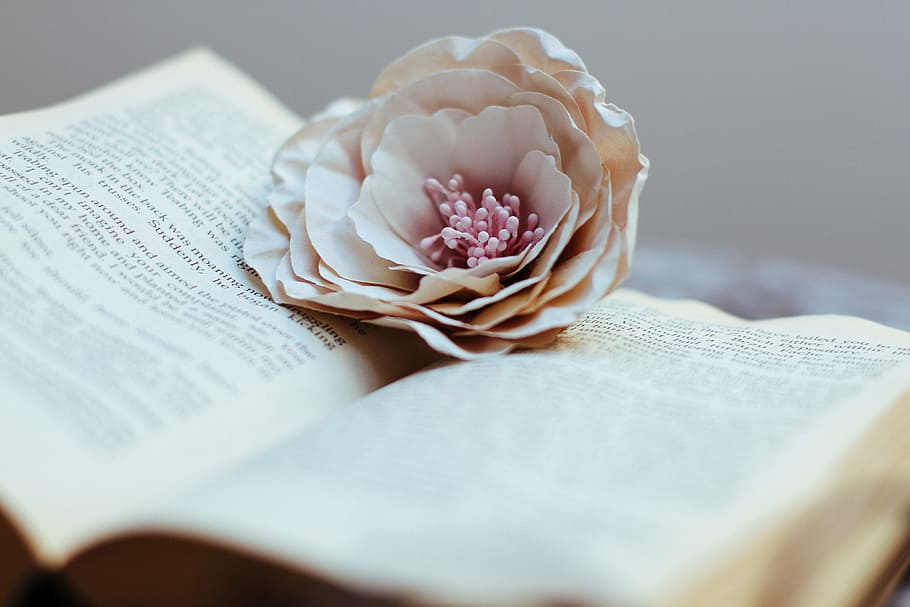 open, book, flower, Open book, various, books, education, flowers, learning, reading