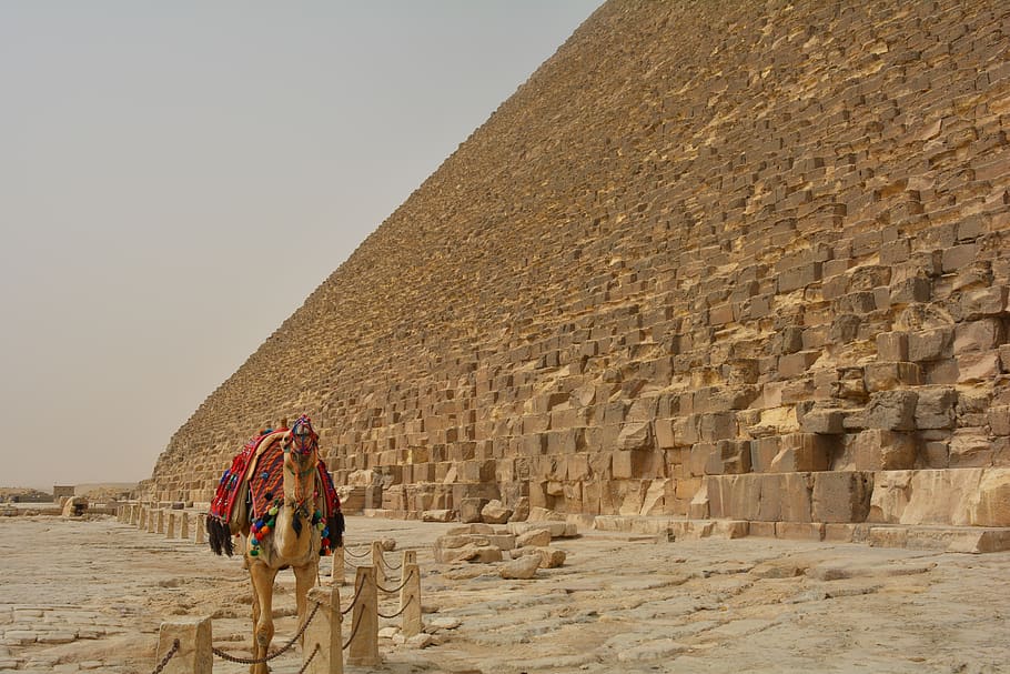 egypt, giza, pyramids, desert, cairo, egyptian, stone, monument, architecture, landmark