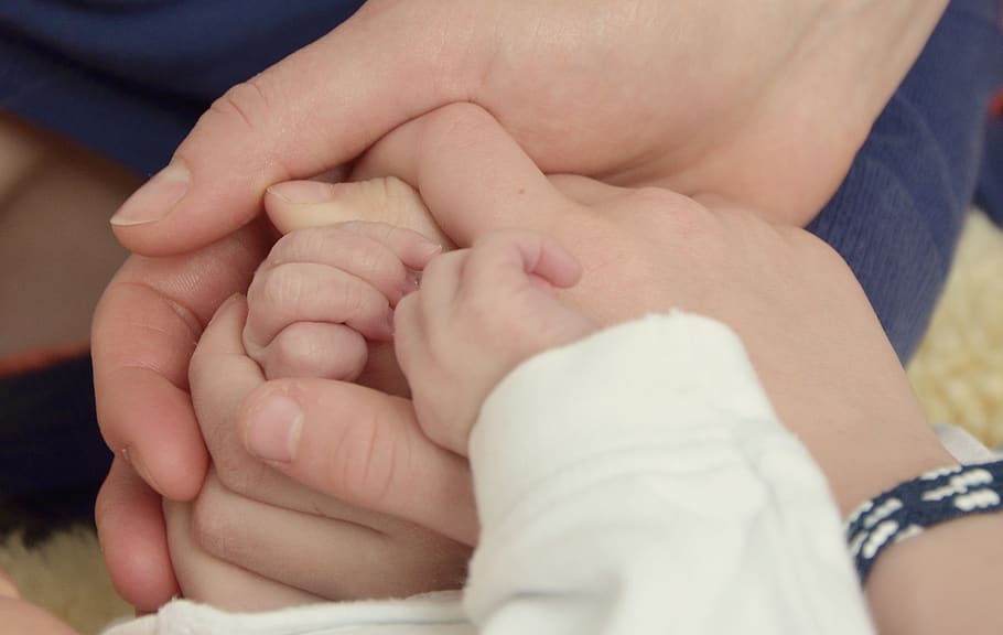 mãos, juntas, carinhosas, protegidas, família, bebê, crianças, consultoria, jovem, criança