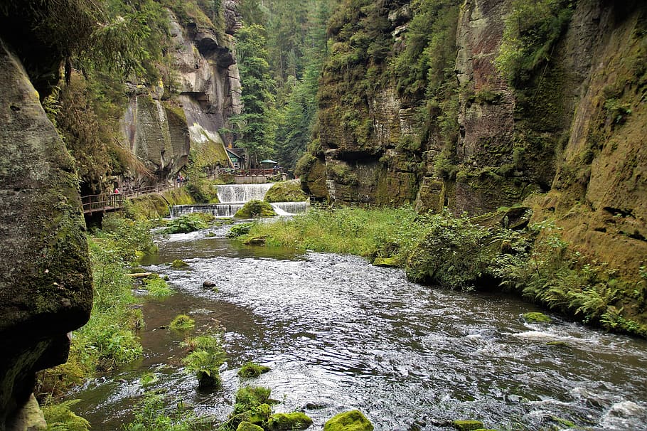 edmund gorge, czech switzerland, valley, river, kamenice, sandstone rocks, canyon, defile, hřensko, czech republic