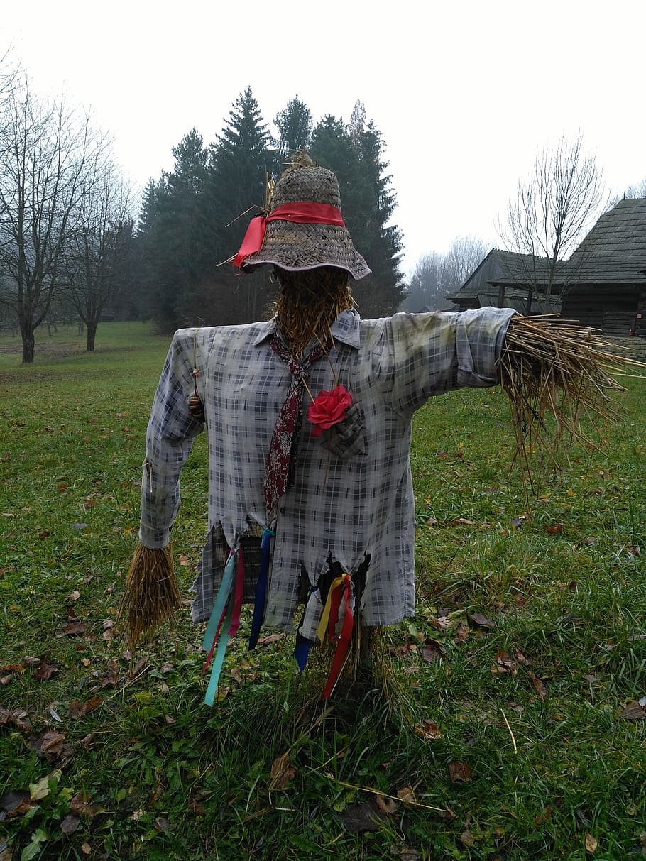autumn, scarecrow, museum, plant, land, hat, clothing, real people, grass, tree