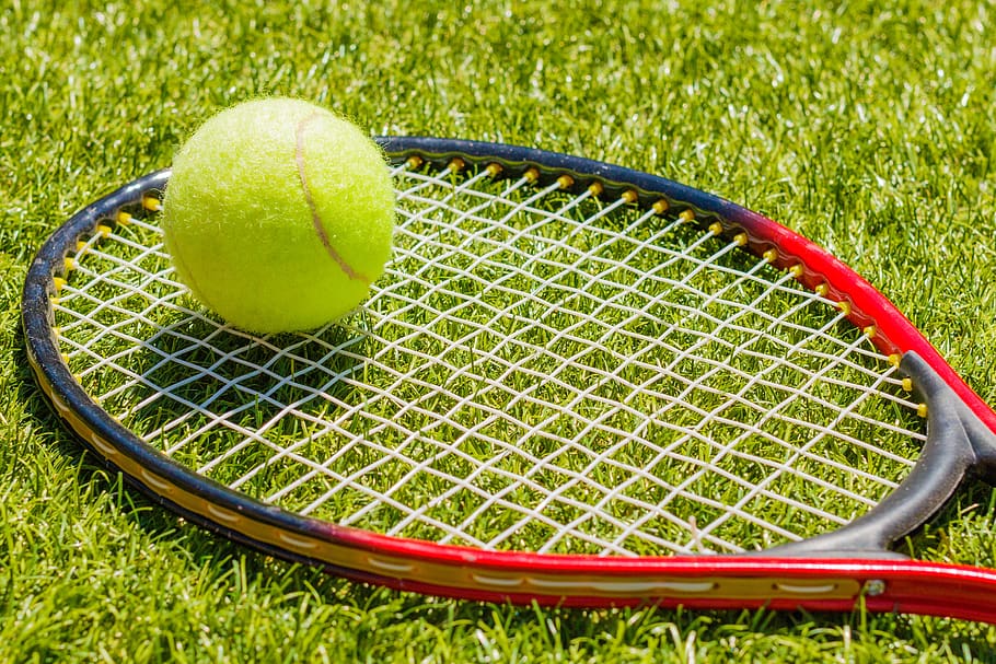 tennis, tennis racket, tennis ball, ball, sports, sport, fitness, recreation, play, leisure