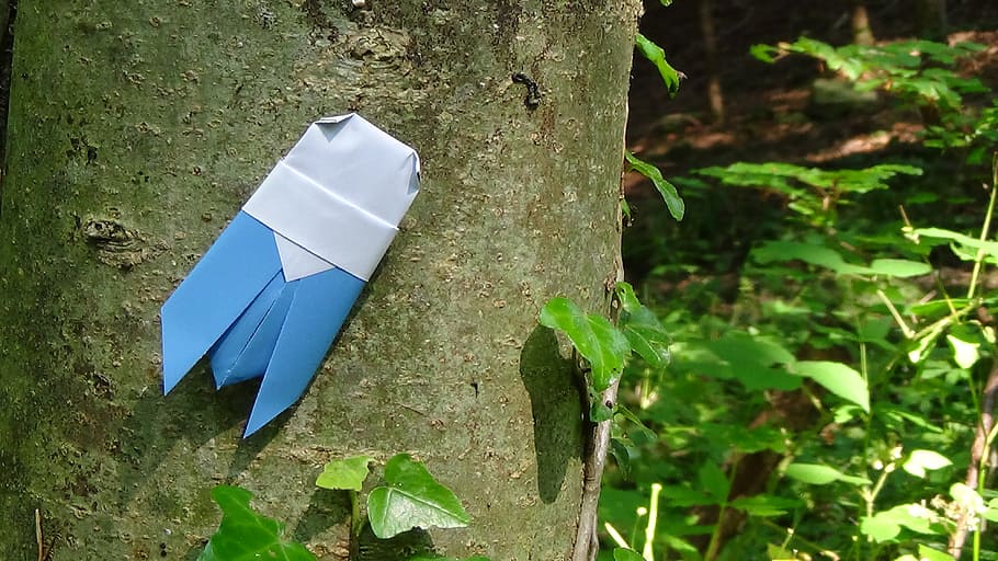 origami, grasshopper, grille, tree, paper, nature, plant, trunk, tree trunk, blue
