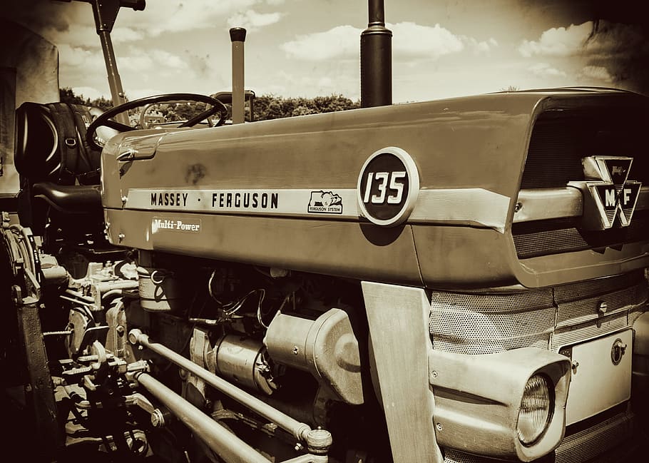 Tractor, Oldtimer, Massey Ferguson, motor, hood, old, agriculture, agricultural machinery, tractors, commercial vehicle