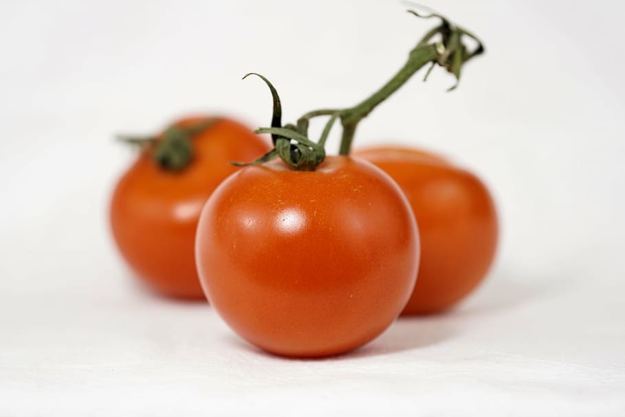 seletivo, fotografia de foco, três, laranja, tomate, tomate arbusto, na videira, nachtschattengewächs, jardim, legumes