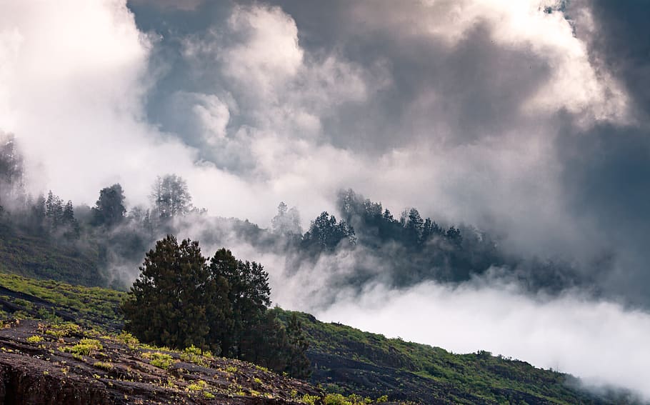 landscape, natural, mountain, mountainside, cloud, forest, tambora mountain, sumbawa, indonesia, cloud - sky