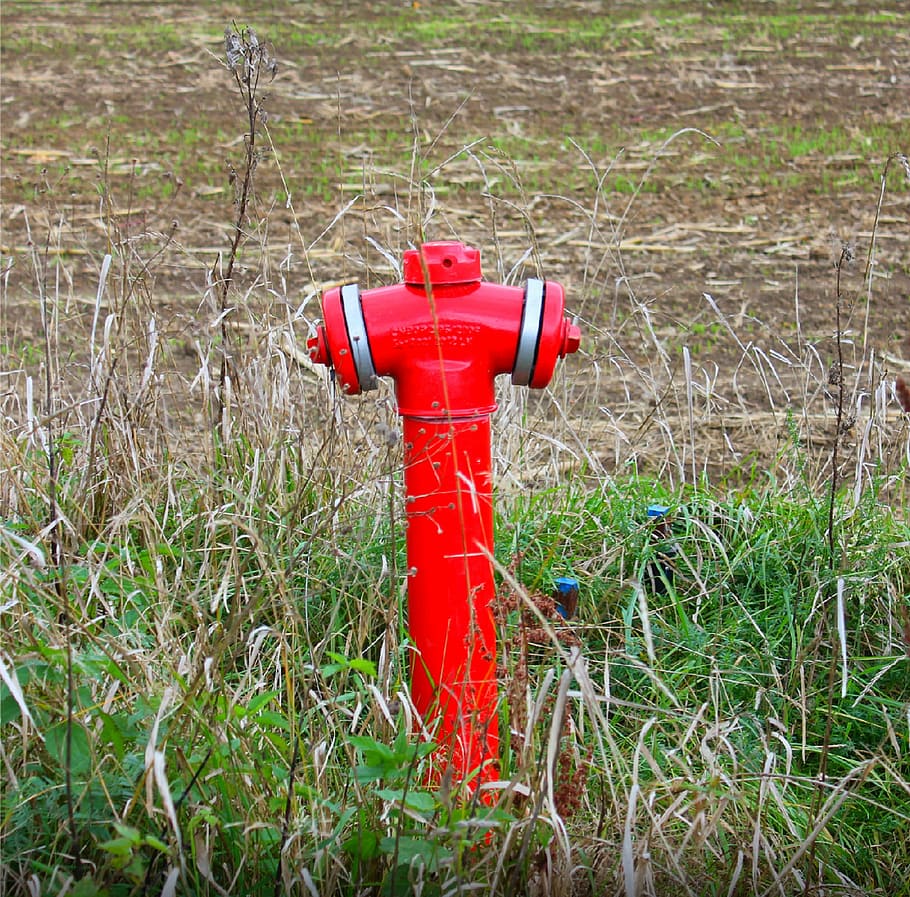 Hydrant, Red, Grass, red, grass, protection, safety, day, outdoors, fire hydrant, field
