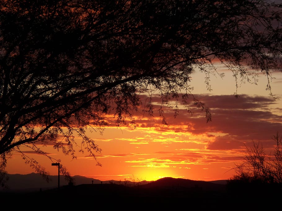 arizona, sunset, desert, southwest, scenic, southwestern, orange, tree, silhouette, sky