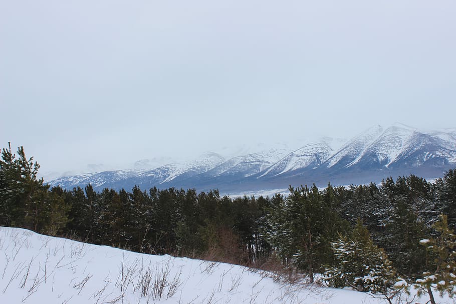 Kazajstán, Ridder, invierno, paisaje, montañas, bosque, niebla, frío, nieve, temperatura fría