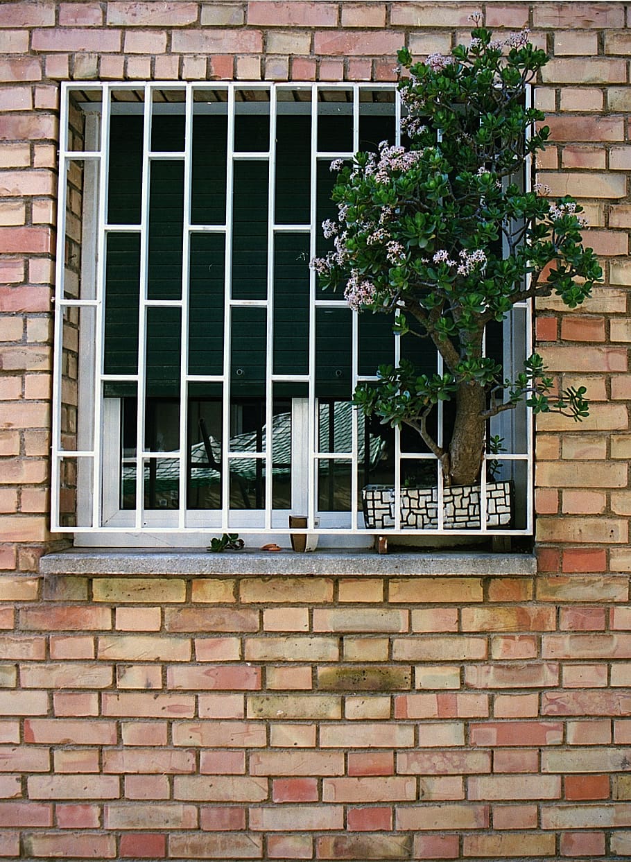 barcelona, spain, brick wall, window, jade plant, brick, wall, architecture, home, design