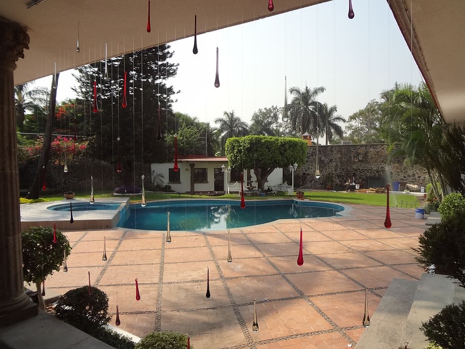 backyard, view, drops, cristal, pool, swimming pool, tree, plant, nature, water
