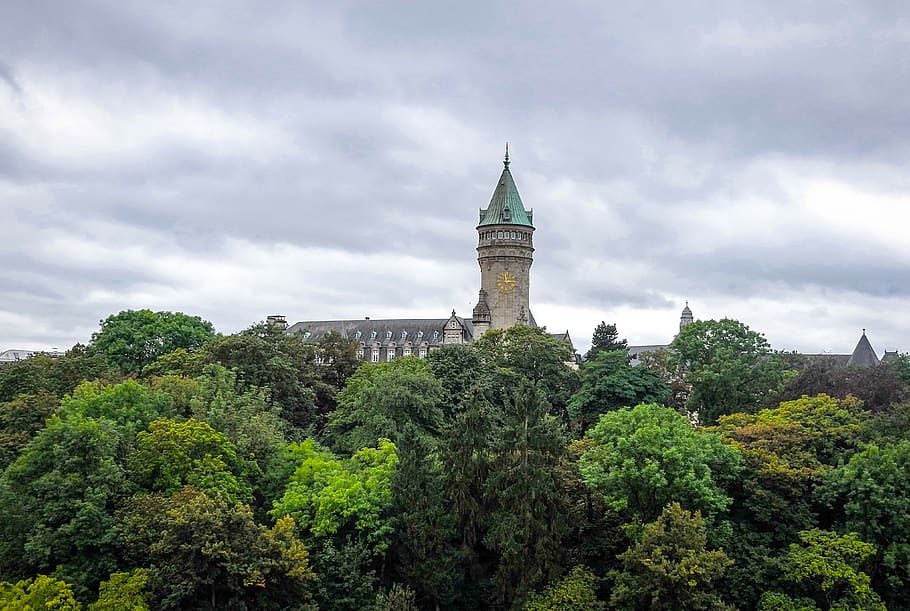 luxemburgo, benelux, castelo, cidade, ue, árvore, planta, estrutura construída, arquitetura, exterior do edifício