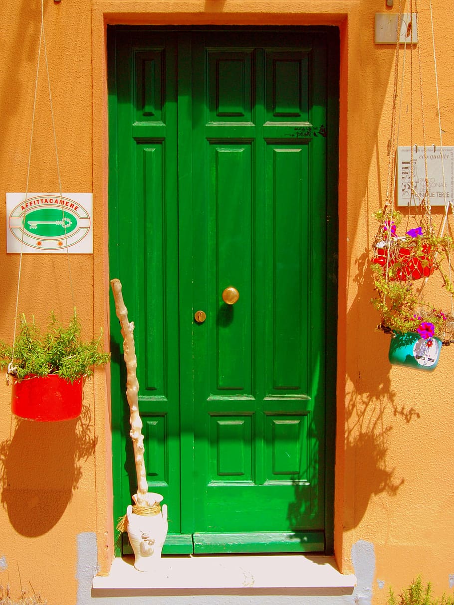 door, entrance, green, landlord, flowers, colors, colorful, closed, green color, architecture