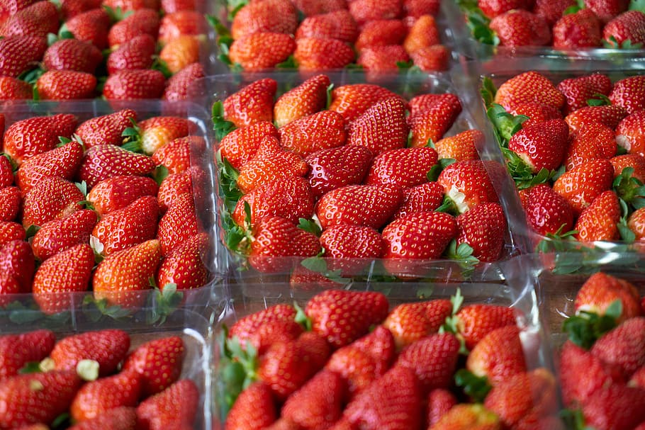 Strawberry, Red, Fruit, Healthy, Fresh, red, fruit, nature, garden, fruit garden, food