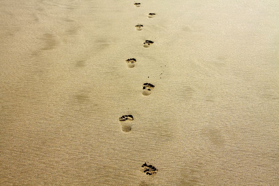 foot, sand, daytime, prints, footprint, alone, vacation, coast, beach, nature