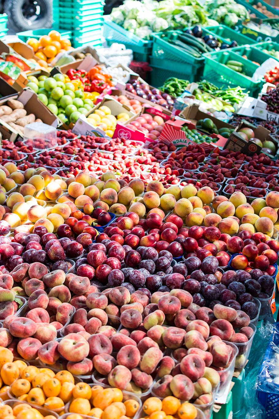 mercado de frutas de verão, frutas de verão, mercado de frutas, frutas, mercado, verão, alimentos, mercado Barraca, frescura, vegetal