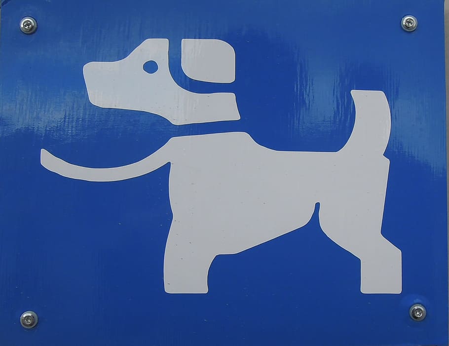 Sign, Dog, Character, Ad, blue, close-up, day, indoors, communication, metal