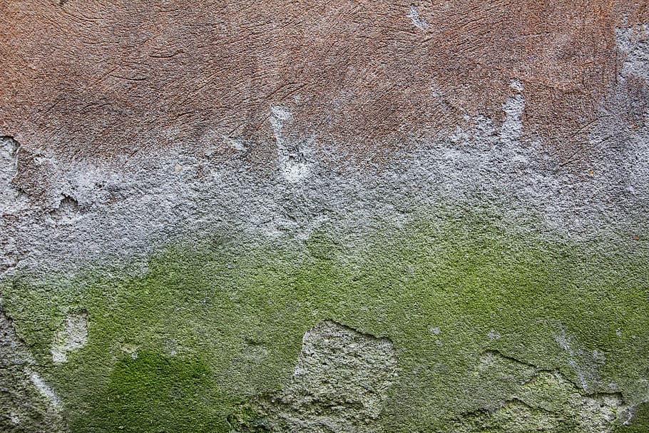 verde, musgo, marrom, superfície, concreto, parede, textura, fundos, parede - característica do edifício, velho