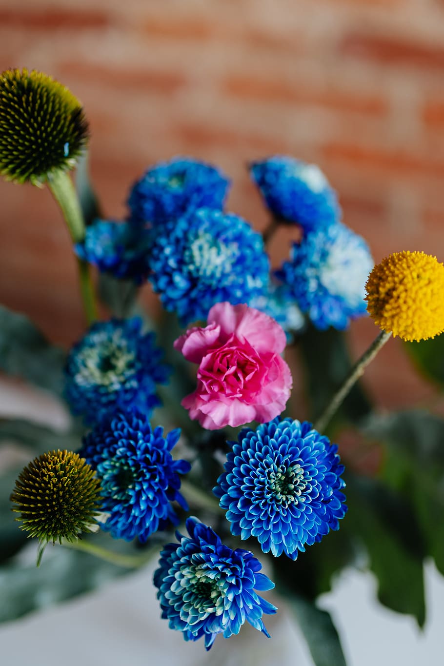 flor, flores, ramo, craspedia, equinácea, coneflowers, phlebodium, azul, crisantemo, morifolium