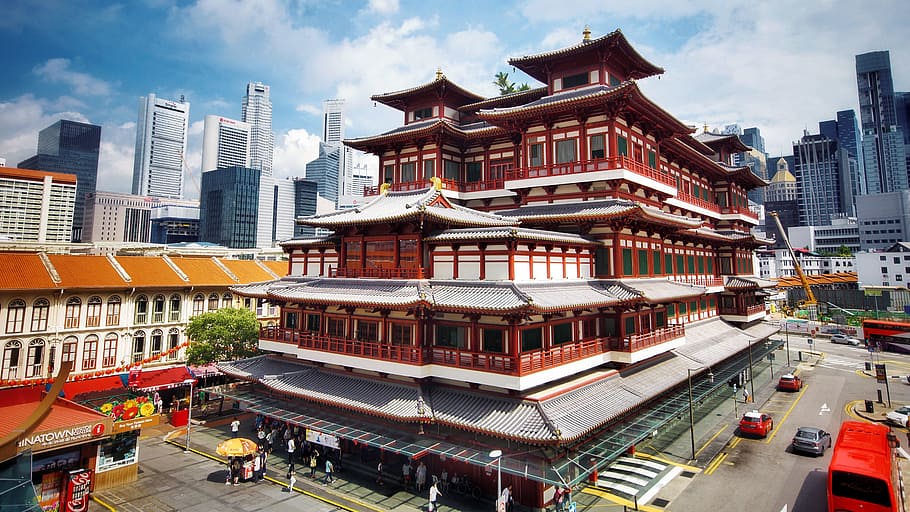 brown, temple, daytime, buddha tooth relic temple, singapore, chinatown, buddhism, tourist attraction, praying, religion