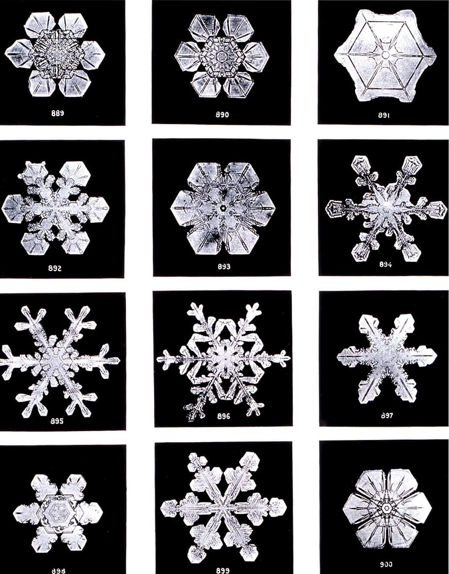 twelve, assorted, snow flakes collage, crystals, ice crystal, snow, ice, snow crystals, water crystals, crystal forms