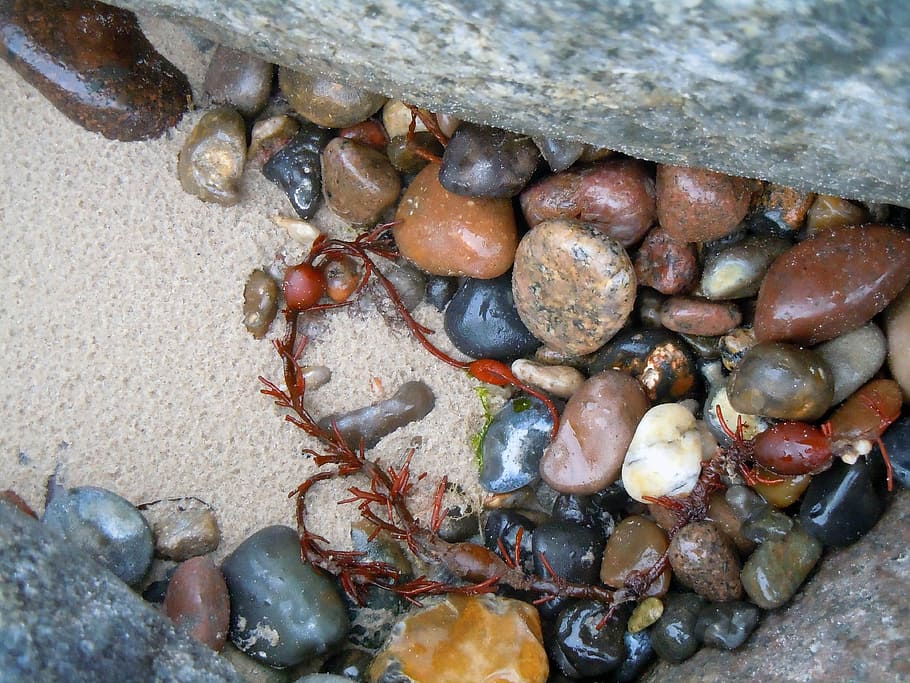 Flotsam, Stones, Beach, Pebble, beach finds, plump, large group of objects, outdoors, close-up, day