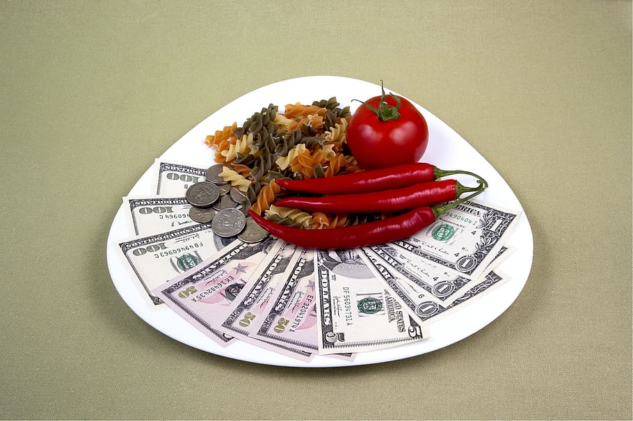 fan, u.s., dollar banknote, coin, chili, pasta illustration, money, rich, the success of the, financing