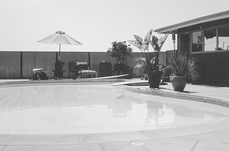 pool, backyard, umbrella, patio, plants, house, black and white, architecture, built structure, building exterior