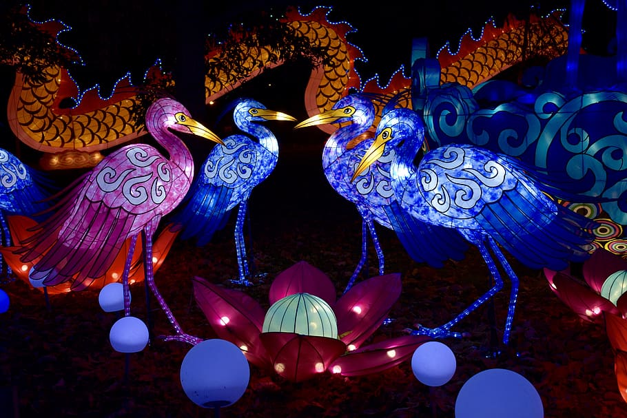 chinese lanterns, night, lantern, light, asian, year, lamp, celebration, lights, china