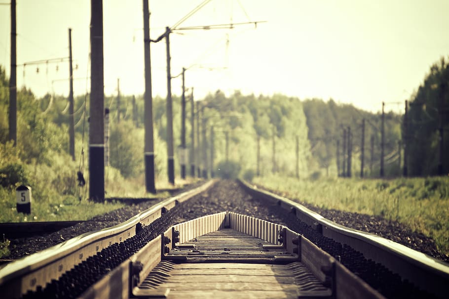 train tracks, power lines, trees, green, posts, railroad, rail transportation, railroad track, transportation, direction