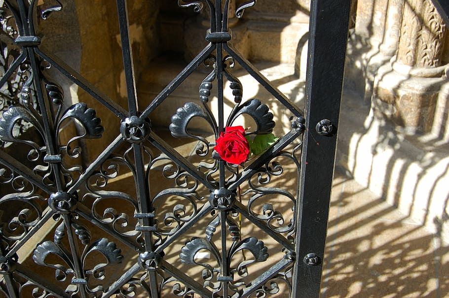 Vienna, St Stephan'S Cathedral, Door, goal, grid, rose, red, gate, metal, wrought iron