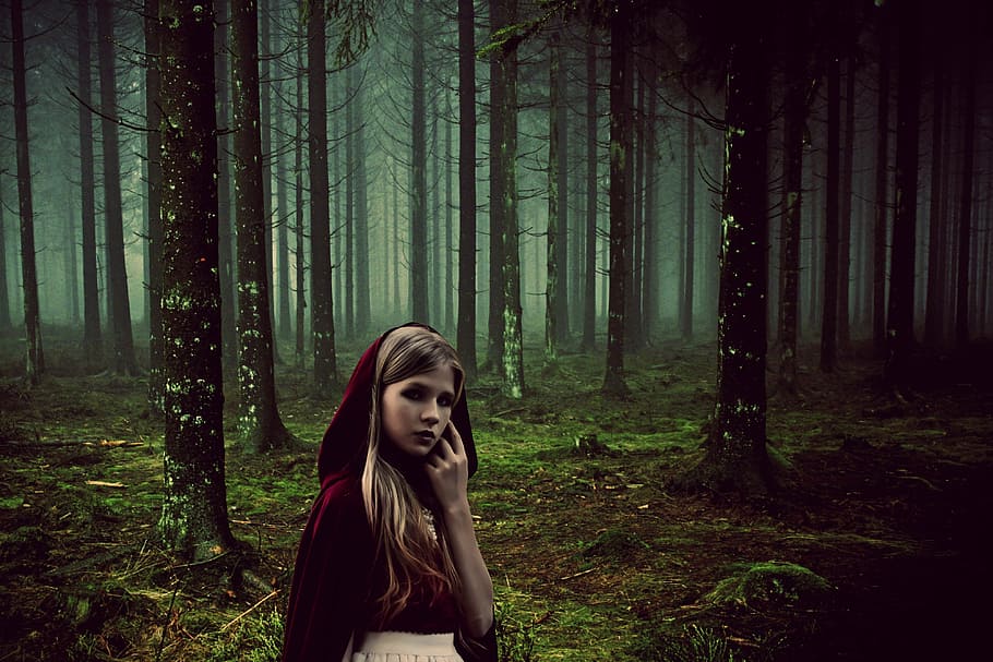 mujer, vistiendo, rojo, capa, en pie, medio, bosque, niña, cuentos de hadas, rotkäppchen