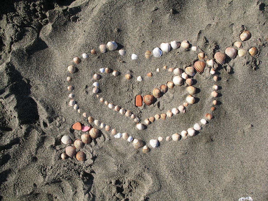 seashells on sand, Heart, Love, Cupid, Romance, Shells, heart shape, text, sand, close-up