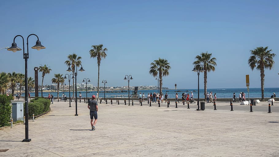 cyprus, quay, promenade, summer, beach, sea, pier, sky, tree, palm tree
