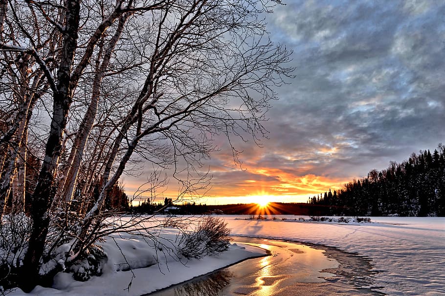 snow during sunset, winter landscape, sunset, twilight, winter, snow, cold, lying sun, ice, evening
