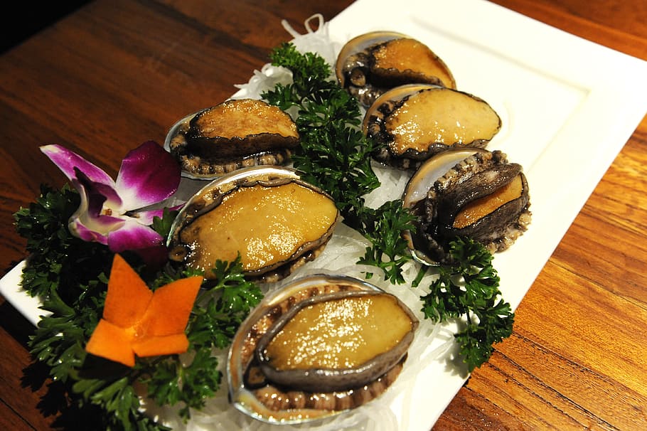seafood dish, abalone, abalone 2, abalone 3, food, ready-to-eat, food and drink, freshness, healthy eating, plate