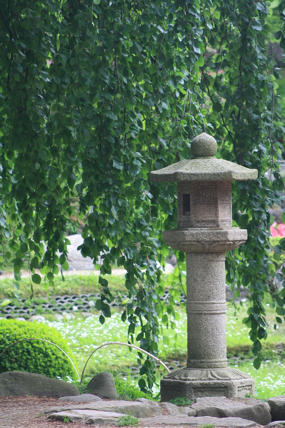 Lentera, Zen, Taman, Jepang, pierre, pohon, arsitektur, Taman formal, di luar ruangan, alam