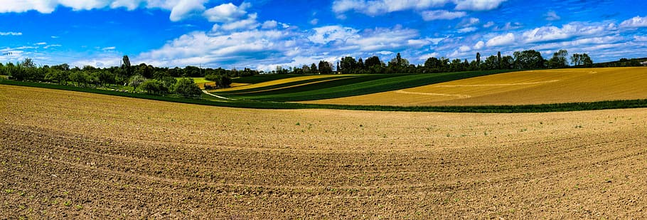 panorama photography, field, panorama, sheep, agriculture, landscape, nature, flock of sheep, sowing, spring