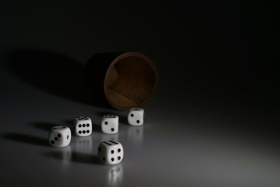 five, dice, white, surface close-up photo, cube, shaker, play, gesellschaftsspiel, gambling, luck