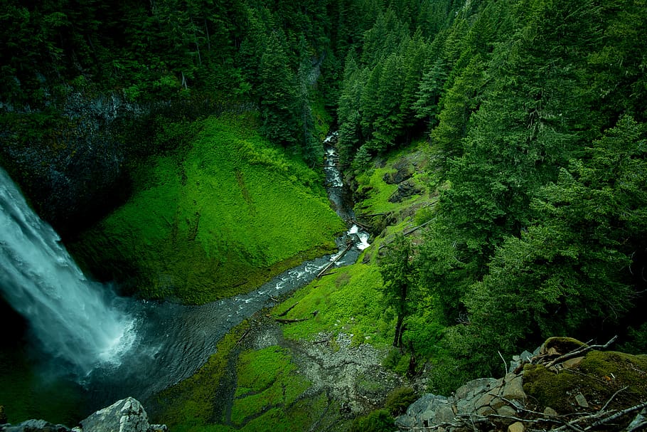 waterfalls, river, water, stream, trees, forest, green, grass, moss, plants